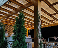 Потолочные панели «ПРО ДЕРЕВО» - Рафия